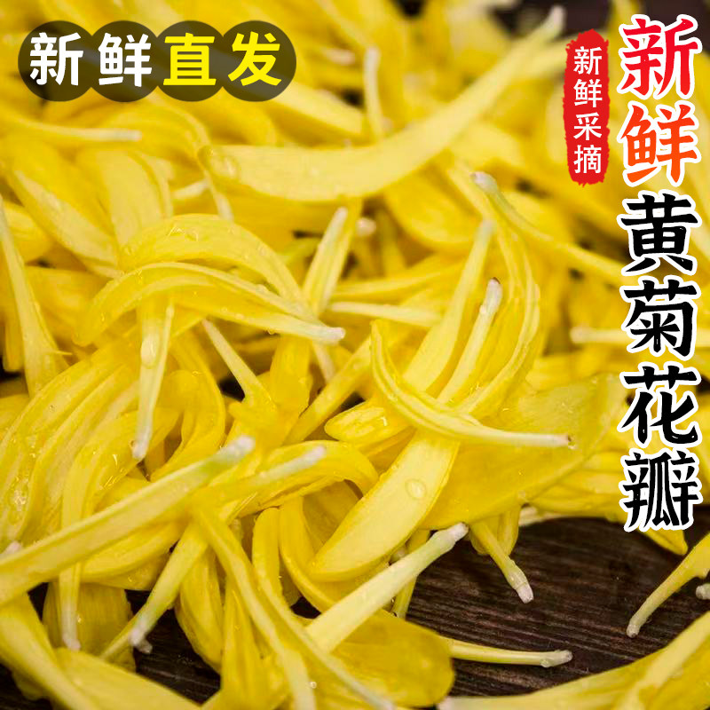 新鲜黄菊花花瓣黄菊花瓣可食用