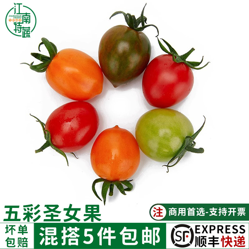 五彩圣女果新鲜1000g多色小番茄新鲜水果樱桃圣女果沙拉蔬菜食材