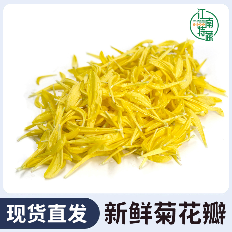 新鲜黄菊花花瓣黄菊花瓣可食用