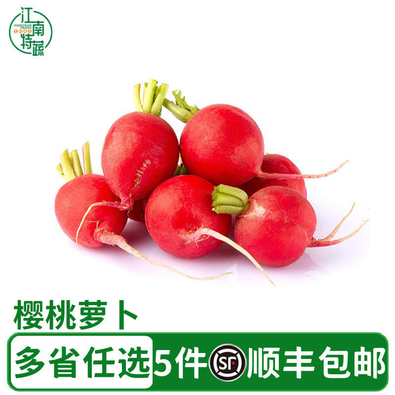 樱桃萝卜新鲜沙拉蔬菜食材红萝卜