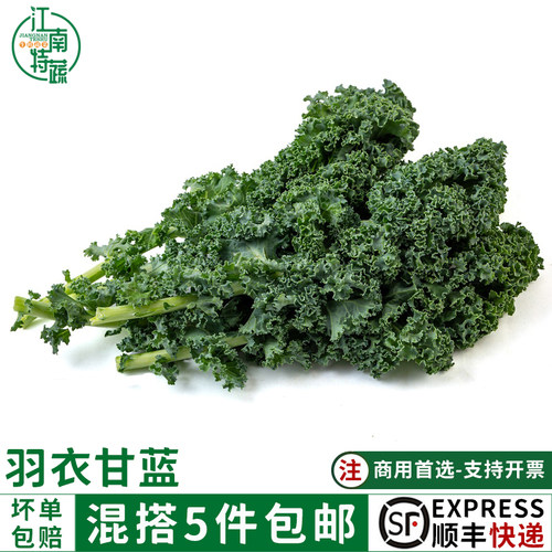 羽衣甘蓝500g新鲜蔬菜榨汁