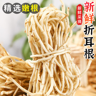 新鲜鱼腥草折耳根现挖节节根侧尔鱼星草即食时令蔬菜特产嫩芽