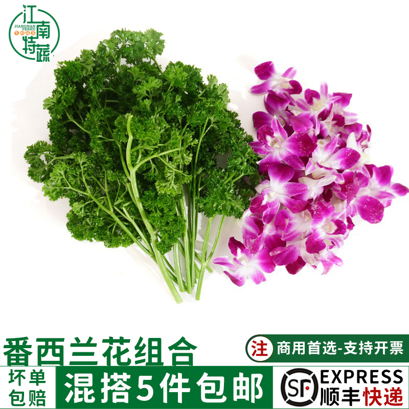 新鲜杨兰花 荷兰套餐洋 兰花火锅烤肉西餐排盘装饰餐饮摆盘鲜花草