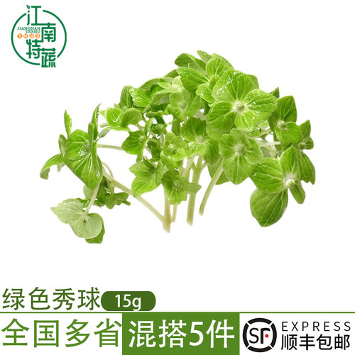 绿色秀球甜品蛋糕装饰烘焙用草