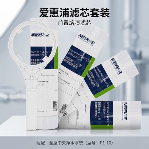 爱惠浦10寸PP棉滤芯1微米四支装