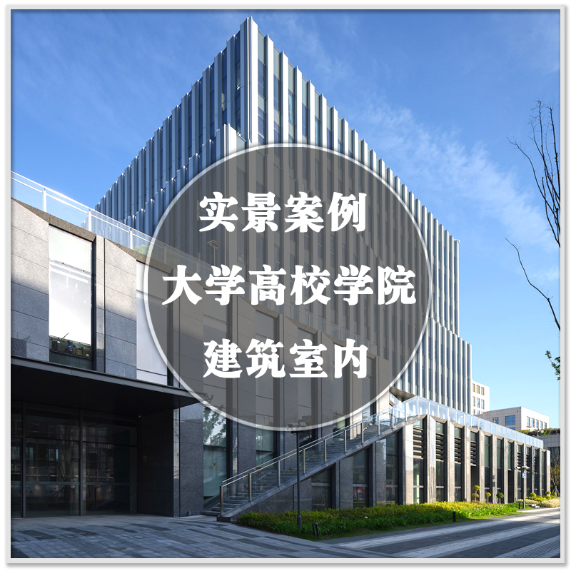 DA-306大学高校各类学院理工科文科艺术建筑室内设计实景案例素材
