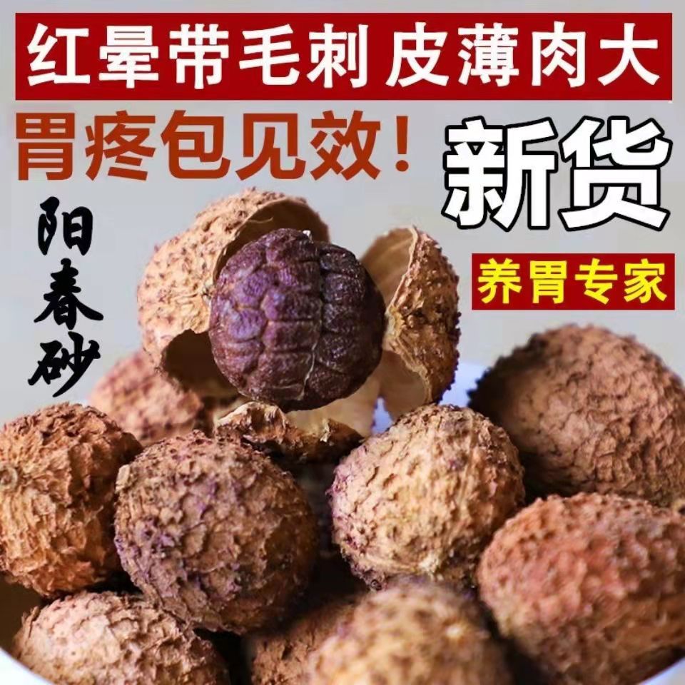 阳春砂仁正品野生砂仁果中药砂仁粉正宗广东香砂仁蜜养胃泡酒药材
