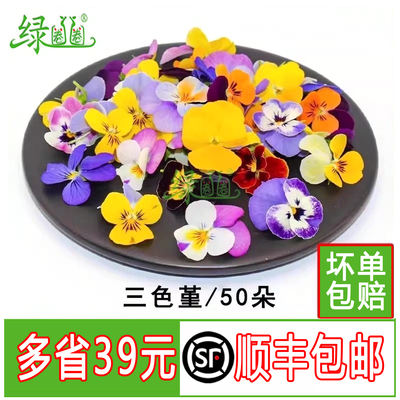 新鲜采摘树叶三色堇冷菜点缀花草