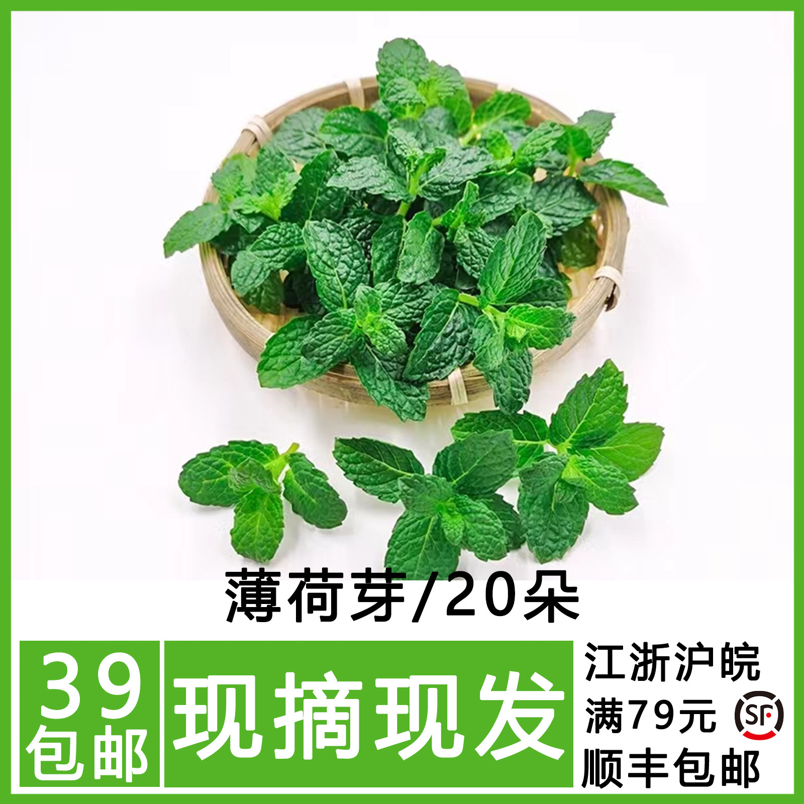 新鲜薄荷芽头薄荷尖可食用奶茶西餐摆盘装饰花草泡水冷菜冷饮点缀