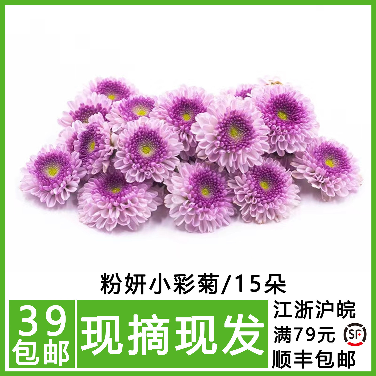 新鲜 粉色纽扣菊 彩菊 小菊花西餐日料酒店摆盘装饰鲜花