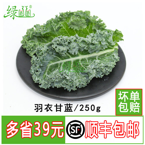 羽衣甘蓝嫩叶甘兰kale蔬菜沙拉