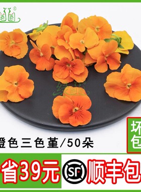 新鲜装饰花橙色三色堇 50朵三色花 西餐摆盘菜装饰餐饮摆盘鲜花草