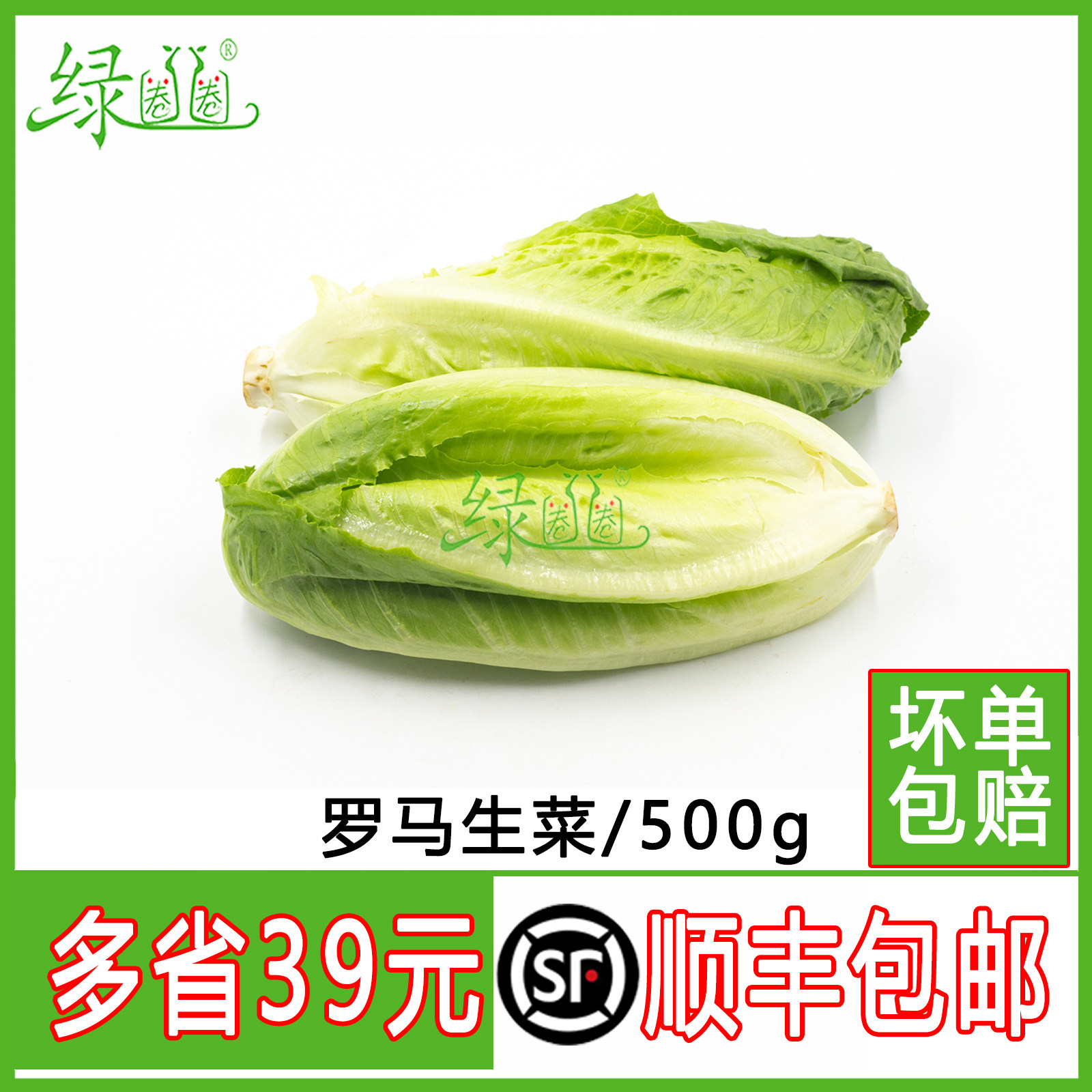 新鲜包罗菜  罗马生菜 嫩罗马罗纹生菜凯撒沙拉蔬菜 500g
