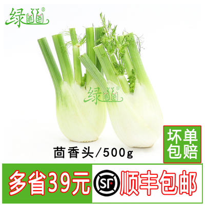 新鲜蔬菜茴香头西餐香料