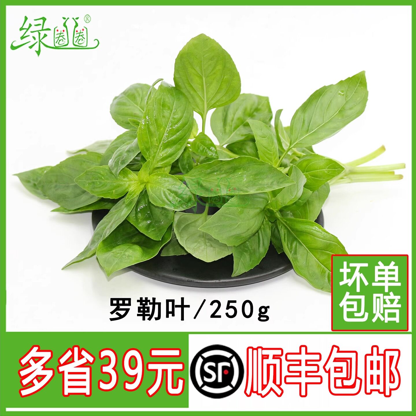 新鲜罗勒叶 金不换三杯鸡 冬阴功香料鱼香菜西餐香料