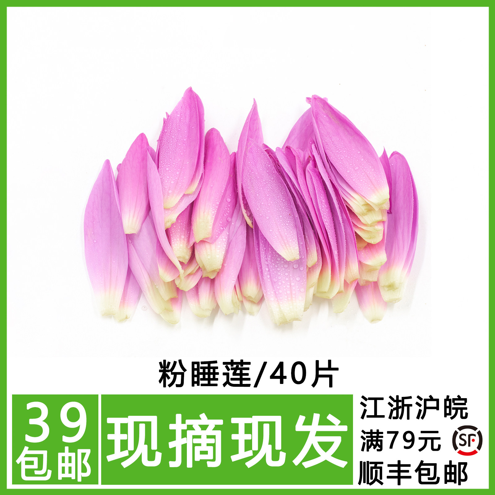 新鲜 粉睡莲 可食用 粉莲花 荷花 酒店西餐饮摆盘装饰花