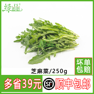 沙拉菜 新鲜芝麻菜 火箭菜 250g 新鲜蔬菜 芝麻生菜西餐酒店摆盘