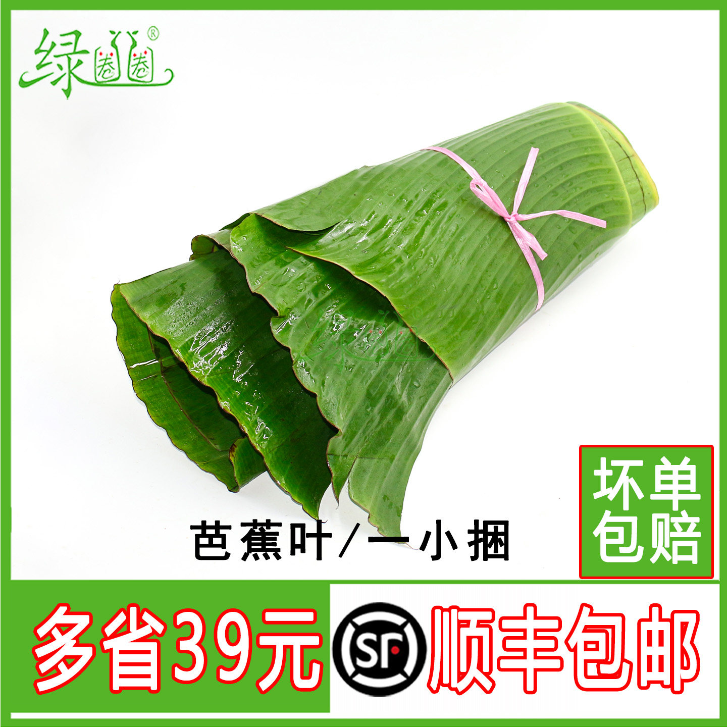新鲜芭蕉叶大蕉叶端午农家现摘香叶粽子糍粑摆盘叶糕点广东烧鸡叶