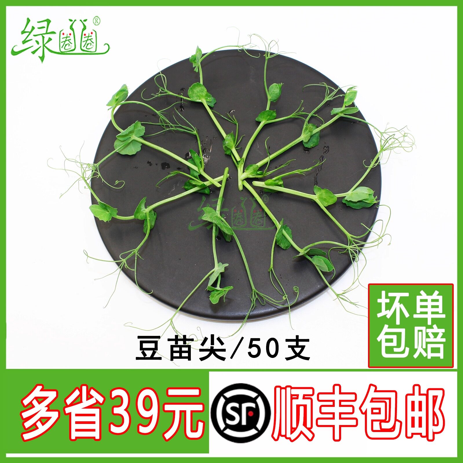 新鲜旋蔓豆苗 豆苗尖 可食用芽苗 冷盘凉菜西餐摆盘装饰点缀 50根