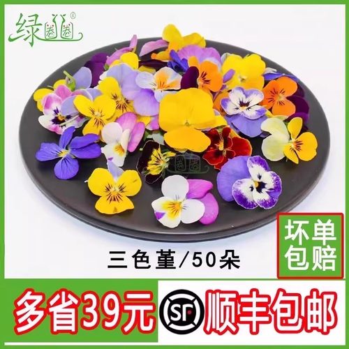 新鲜采摘树叶三色堇冷菜点缀花草