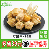 酒店餐饮冷盘摆盘装 姑娘果 饰花草 黄灯笼果 新鲜