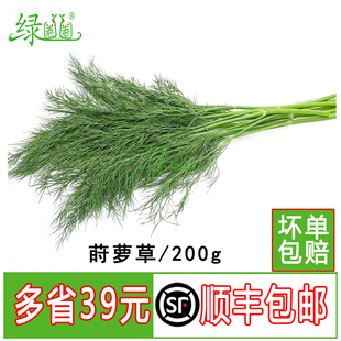 新鲜莳萝草 泰国香料刁草100g 香料西餐