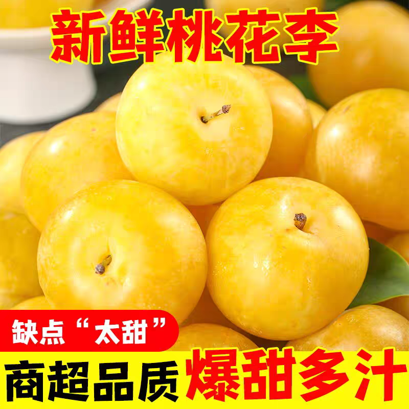 漢源桃花李新鮮水果爆甜冰糖李恐龍蛋孕婦兒童水果現(xiàn)摘現(xiàn)發(fā)應(yīng)季