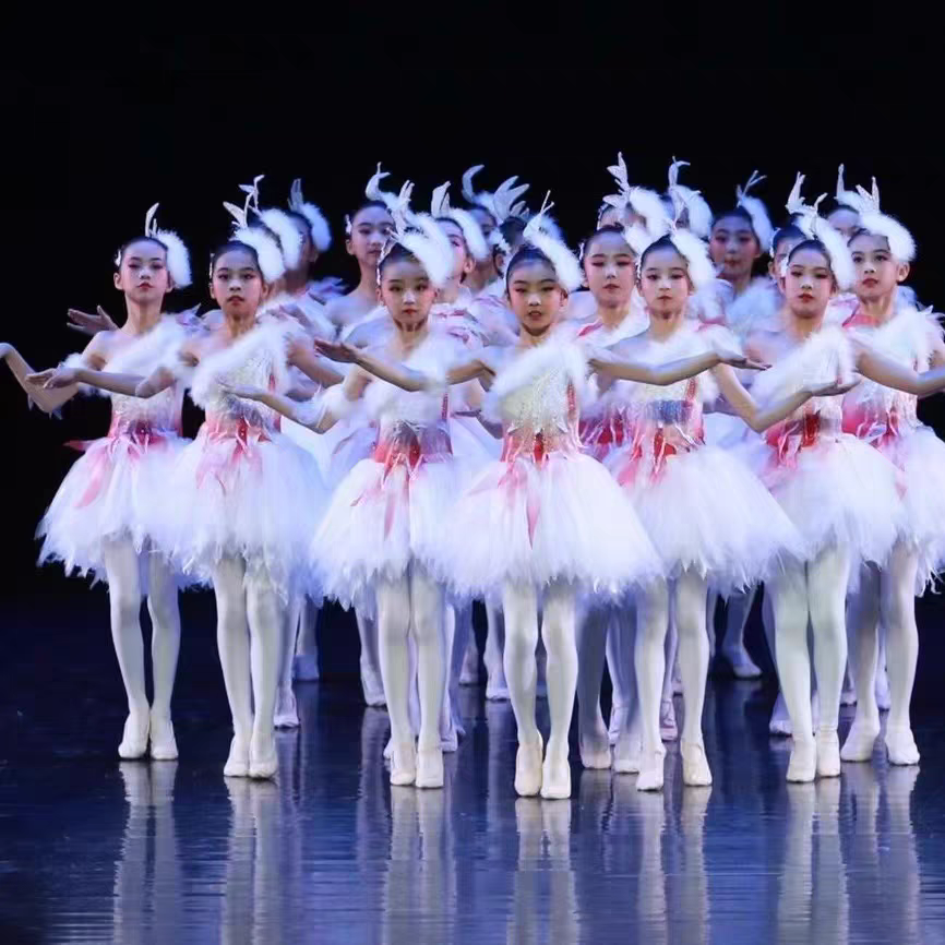 鸽子的天空儿童演出服女公主蓬蓬裙小白翎舞蹈演出服小动物舞蹈服