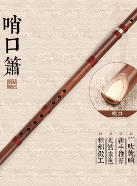 楚吟 哨口箫低音大竖笛大F大G八孔苦竹满口箫洞萧萧成人初学演奏