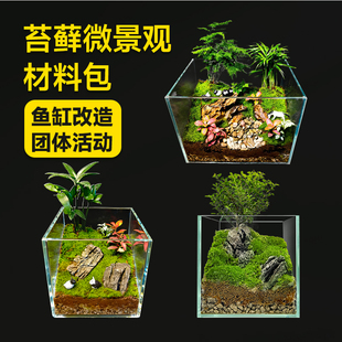 苔藓微景观DIY材料包鱼缸改造苔藓缸团体活动手工材料生态瓶造景