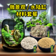 苔藓景观材料微景观diy材料包创意生态瓶制作材料水陆缸造景材料