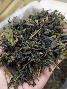 高山茶潮汕八仙茶惠来土山茶1斤大坪土山茶诏安八仙茶潮汕乌龙茶