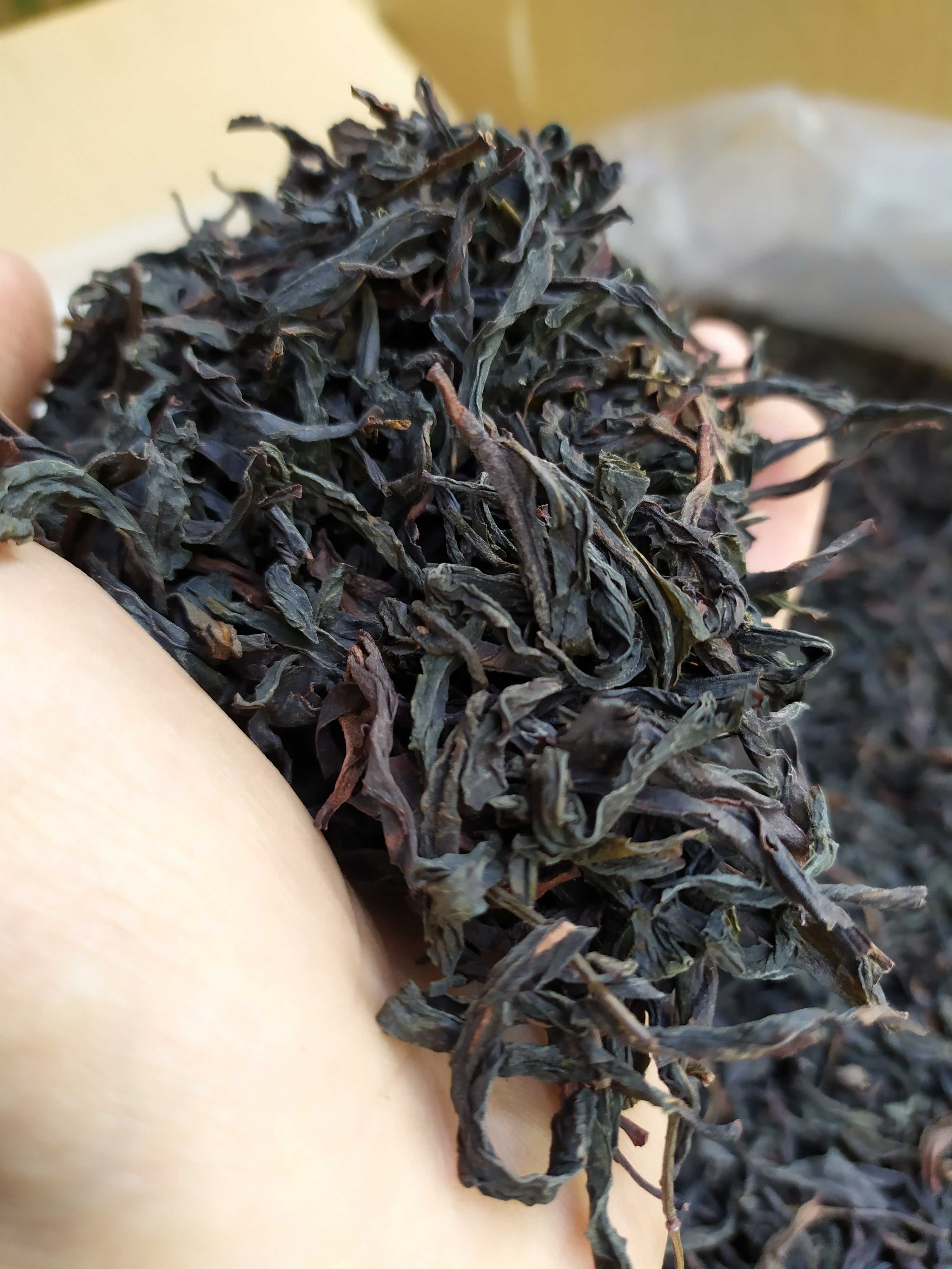 蜜兰香单枞茶熟茶乌岽单枞茶高山单丛茶潮州凤凰单丛茶1斤单丛茶