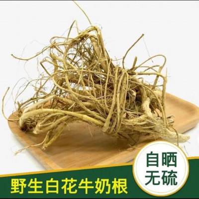 客家纯天然牛奶子树根 养生正宗煲汤食材牛乳根 炖汤食材料