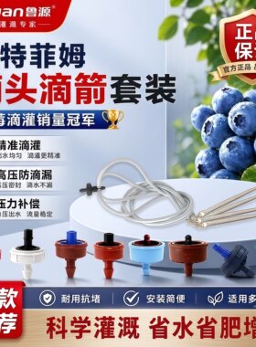耐特菲姆压力补偿式滴头以色列2升4升滴灌稳流器一进四出蓝莓滴箭