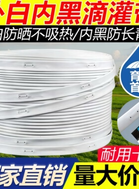 16白色滴灌带透明滴灌管双孔单孔农用贴片式蔬菜草莓育苗滴灌带