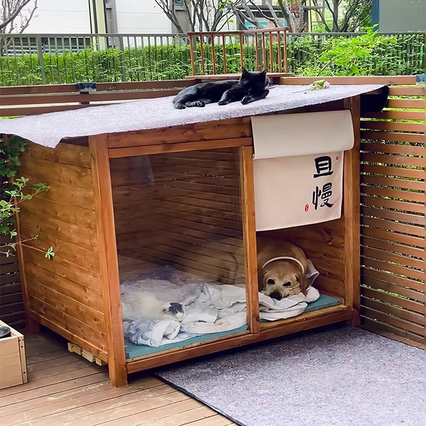 防腐木狗屋猫窝宠物户外防水狗窝冬天室外狗笼大型犬狗房冬季保暖