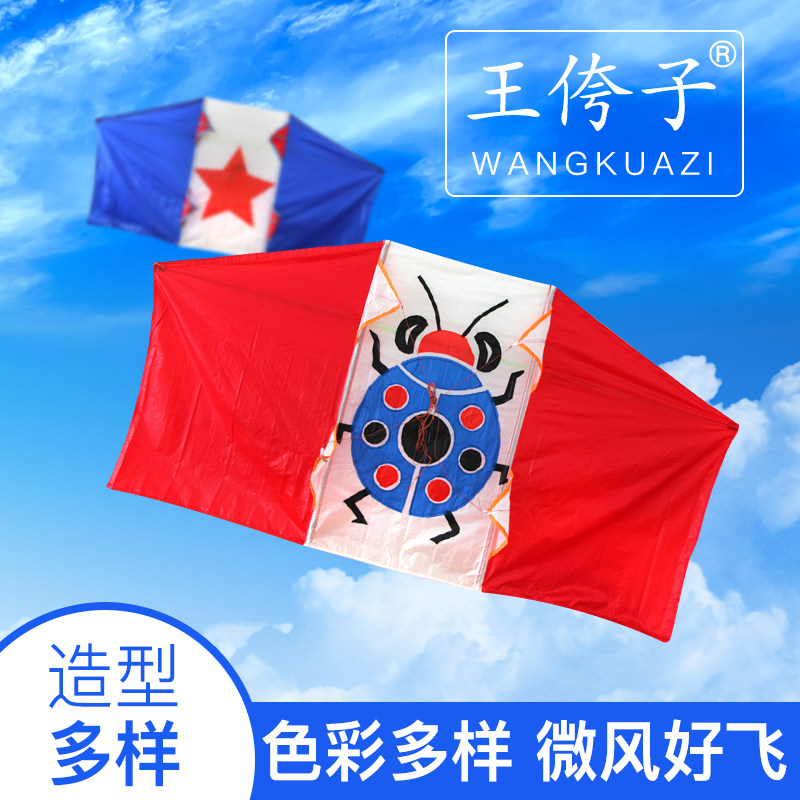 新款正品王侉子544软伞布如意风筝个性四线异形风筝碳杆微风易飞