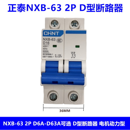 正泰D型断路器NXB-63 2P D6A10A16A20A25A32A40A50A63A动力型空开