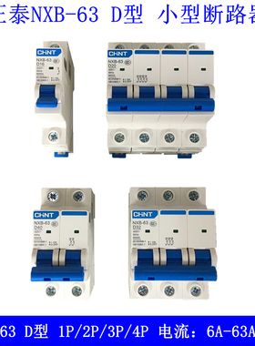 正泰D型NXB-63空开小型断路器开关1P 2P 3P 4P 10A 16A 32A 63A