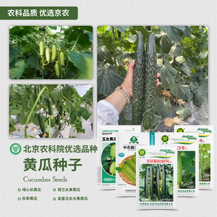 农科院黄瓜种子绿心长黄瓜秋旱黄瓜苗玉女荷兰水果瓜耐热蔬菜籽孑