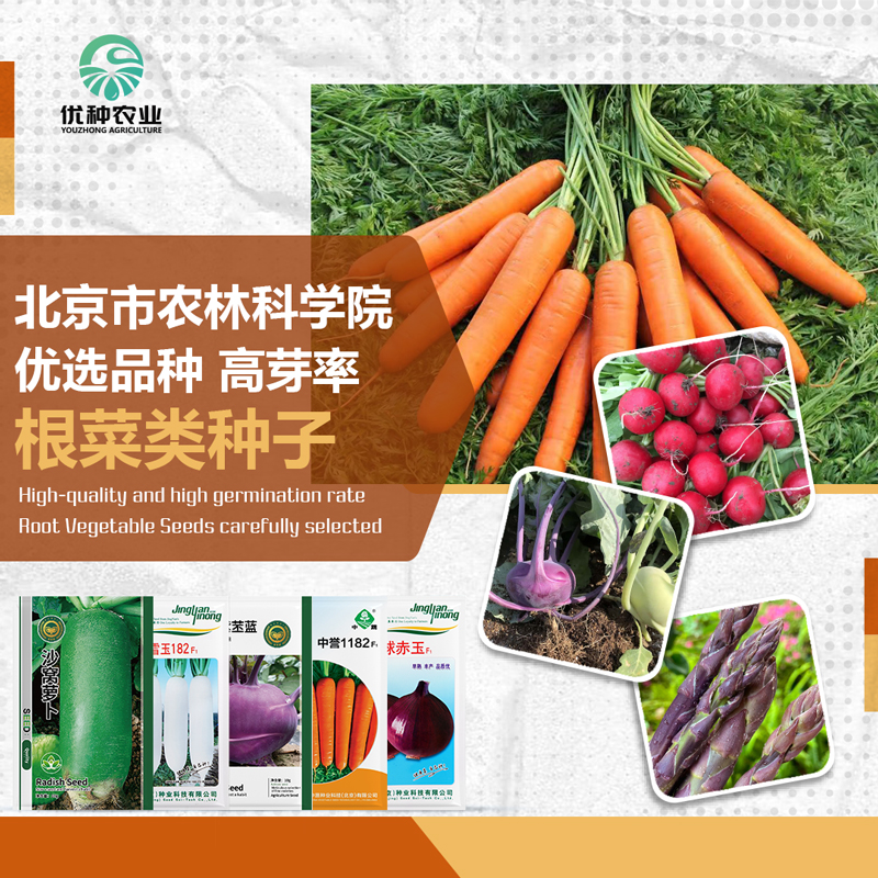 农科院萝卜种子水果樱桃萝卜欧防风紫芦笋苤蓝洋葱红葱头蔬菜籽孑