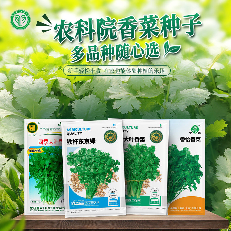 农科院香菜种子四季小葱种籽红根韭菜铁杆大葱圆葱洋葱头蔬菜籽孑