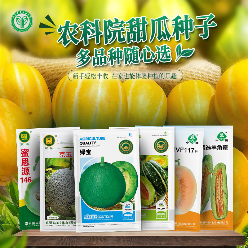 农科院甜瓜种子羊角蜜脆白香瓜绿宝伊丽莎白甜瓜八棱脆蔬水果种子