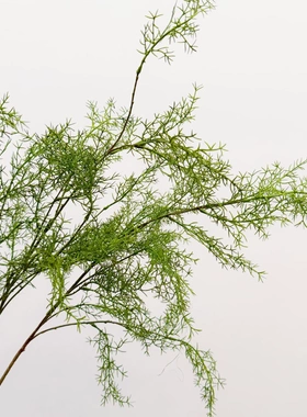 花饰界仿真绿植雾凇芦荀草婚庆背景插花造景垂吊白绿森系花艺婚庆