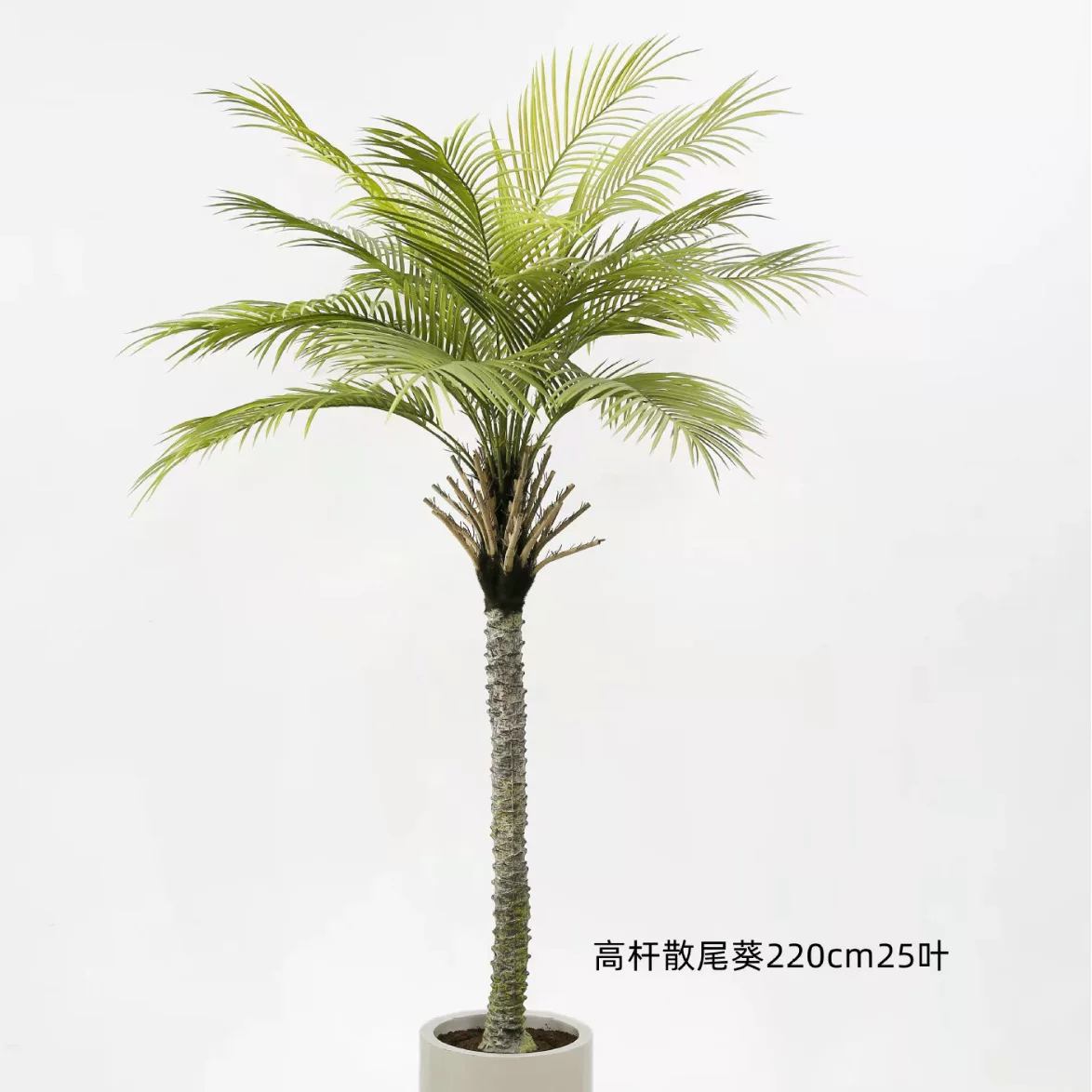 花饰界仿真绿植散尾葵椰葵针葵园林造景家居酒店摆设仿真树绿植