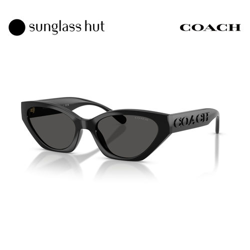 Coach蔻驰秋冬新品太阳镜女款猫眼形墨镜0HC8459U