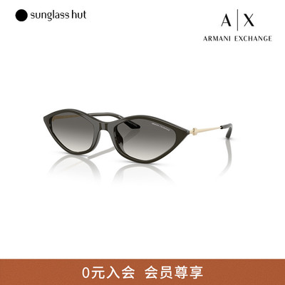 ARMANI/阿玛尼防晒不规则墨镜