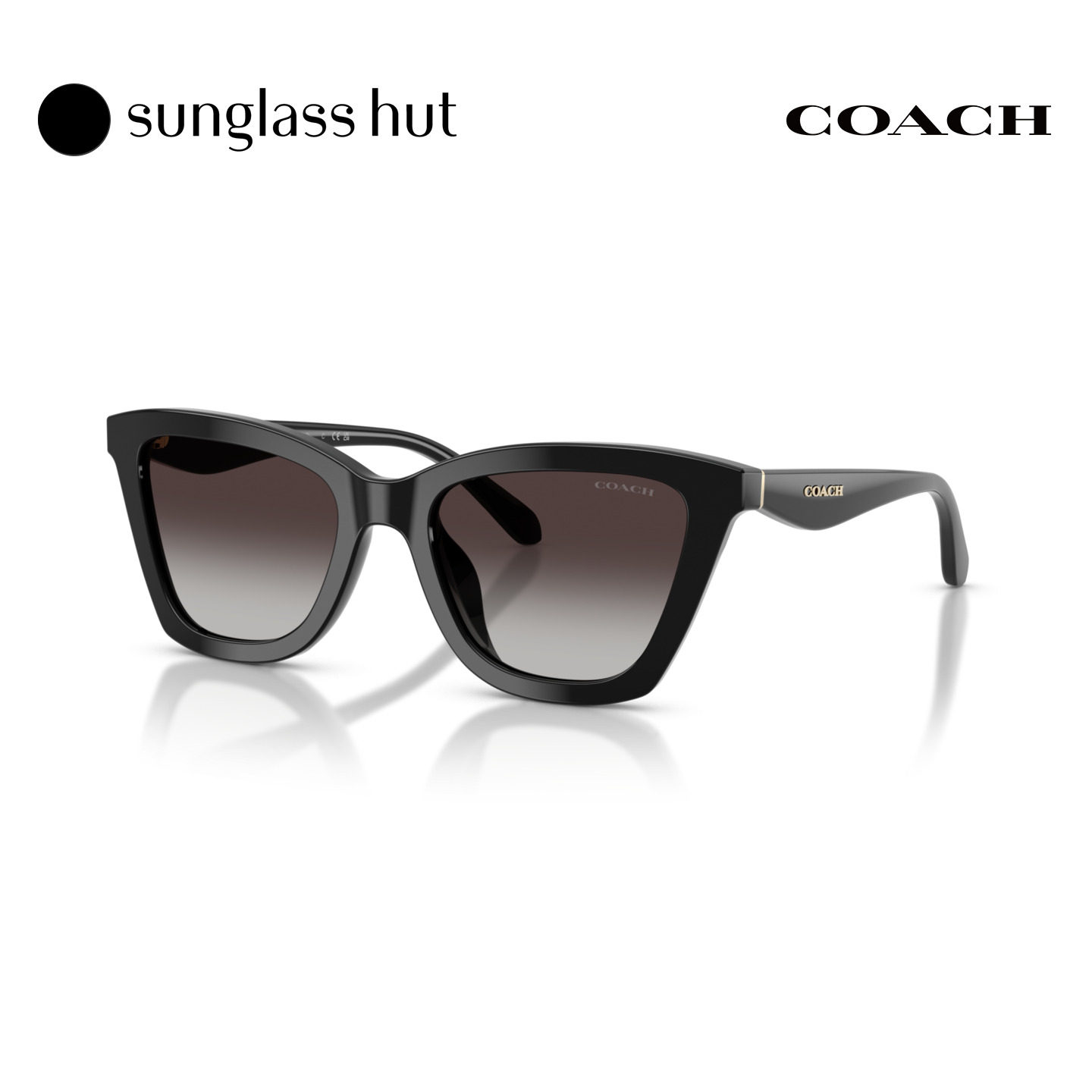 Coach蔻驰【秋冬新品】太阳镜女款方形0HC8464U