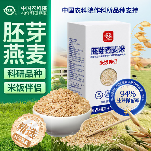 中国农科院燕麦米纯燕麦五谷杂粮米营养米代餐米饭伴侣煮粥燕麦粒